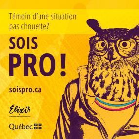 À la droite, un dessin de chouette. À gauche, il est écrit «   Témoin d’une situation pas chouette?  SOIS PRO! »