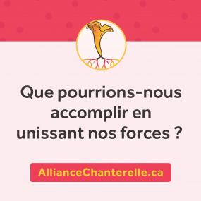 Que pourrions-nous accomplir en unissant nos forces? AllianceChanterelle.ca