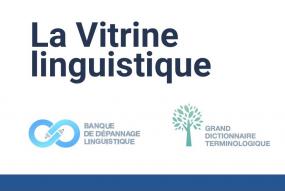 La Vitrine Linguistique : L’outil Indispensable Qui Répond à Toutes Vos ...