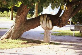 Photographie d'un oeuvre d'art urbain. Une main en bois soutient une grosse branche d'arbre.