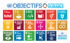 Les 17 objectifs de développement durable.