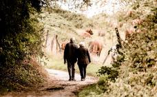 Photographie d'un couple de personnes âgées qui marchent sur un sentier de campagne.