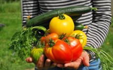 une personne tient entre ses mains plusieurs légumes