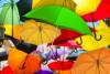 Photographie de plusieurs parapluies colorés.