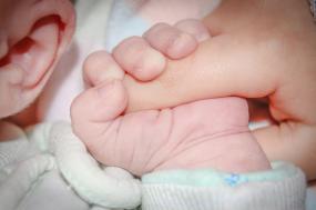 Gros plan sur une main de bébé tient un doigt d'adulte.