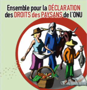 Ensemble pour la déclaration des droits des paysans de l'ONU