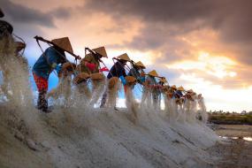 Une rangée de femmes travaillant dans une rizière.