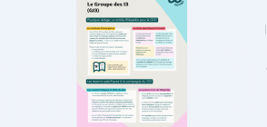 Le Groupe des 13 (G13)